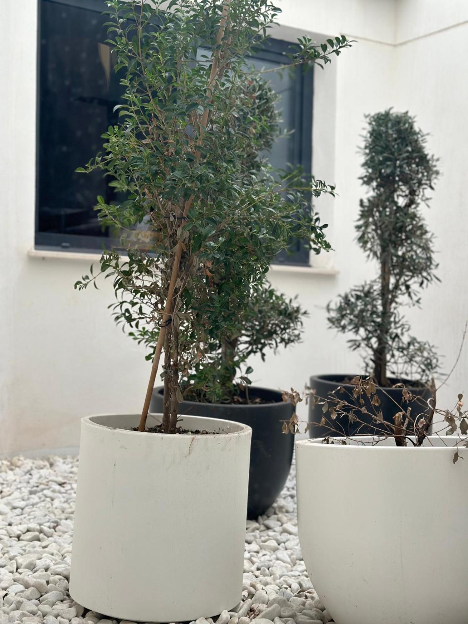Hostel Alicante A-Cero Living Εξωτερικό φωτογραφία